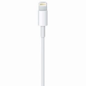 Apple Lightning - USB Kabel 0,5M - Retail